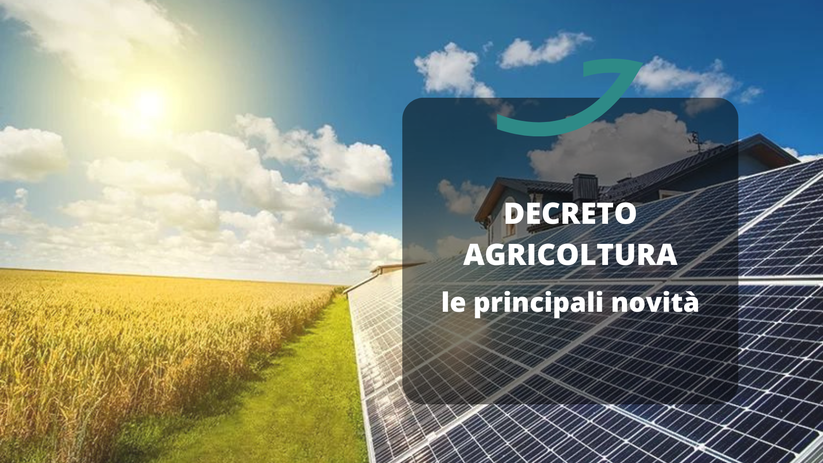 decreto agricoltura